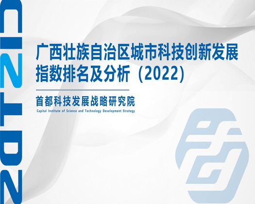 人妖与人妖草逼的网址【成果发布】广西壮族自治区城市科技创新发展指数排名及分析（2022）